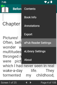 Launch ePub Reader Settings
